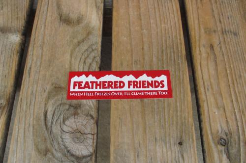 ���ʡ��ե������ɥե�󥺡���å� ���� ���ƥå��� ��(��) ace808