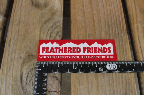 ���ʡ��ե������ɥե�󥺡���å� ���� ���ƥå��� ��(��) ace808