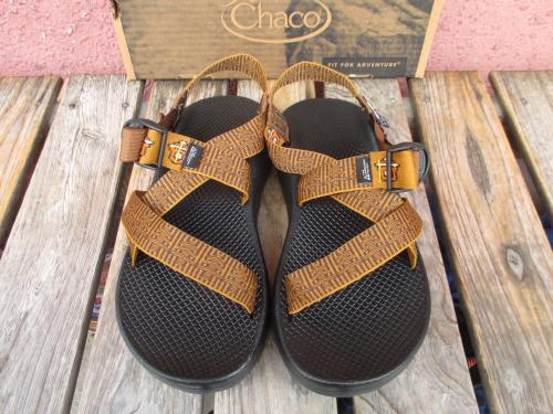  㥳 ꥫ Z1 US9 ⡼եǥ shc021