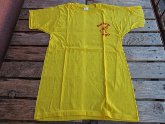 ����USED 80S �ӥ�ơ��� ��GO HIKE THE CYANON�� �����ɥ���˥���ʥ���ʥ�ѡ��� T����� ���� M tsh350