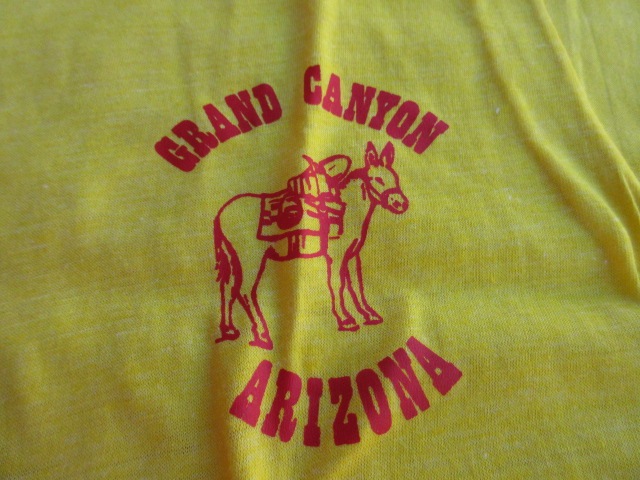 ����USED 80S �ӥ�ơ��� ��GO HIKE THE CYANON�� �����ɥ���˥���ʥ���ʥ�ѡ��� T����� ���� M tsh350