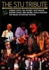 VARIOUS ARTISTS / THE STU TRIBUTE 2011 (1DVD-R) JOINTRIP / JTDV-021