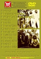 BEACH BOYS / LIVE IN MELBOURNE 1978 (1DVD-R) SKULL DISC / SKDVD-023