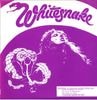 WHITESNKAE / A CELEBRATION OF APATHY (1LP) WS-9109