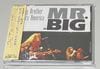 MR. BIG / BIG BROTHER HITS AMERICA (1CD) DR. GIG / DGCD 010