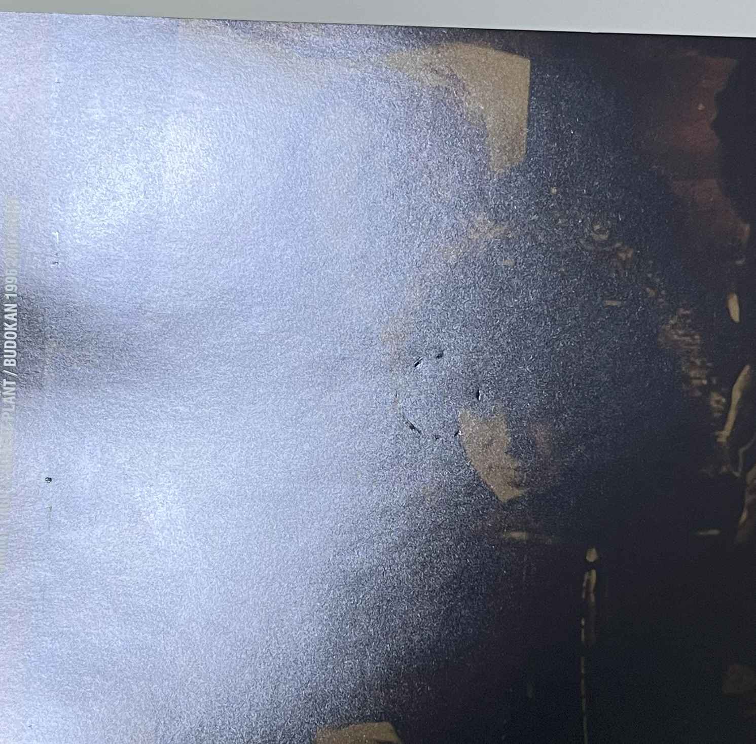 JIMMY PAGE & ROBERT PLANT / BUDOKAN 1996 2ND NIGHT (2CD) WARDOUR-357