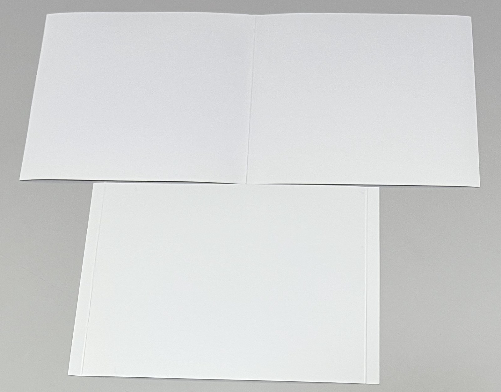 PAUL McCARTNEY / BONNAROO FESTIVAL 2013 (1CD+1DVD) PICCADILLY CIRCUS / PCCD-153/154