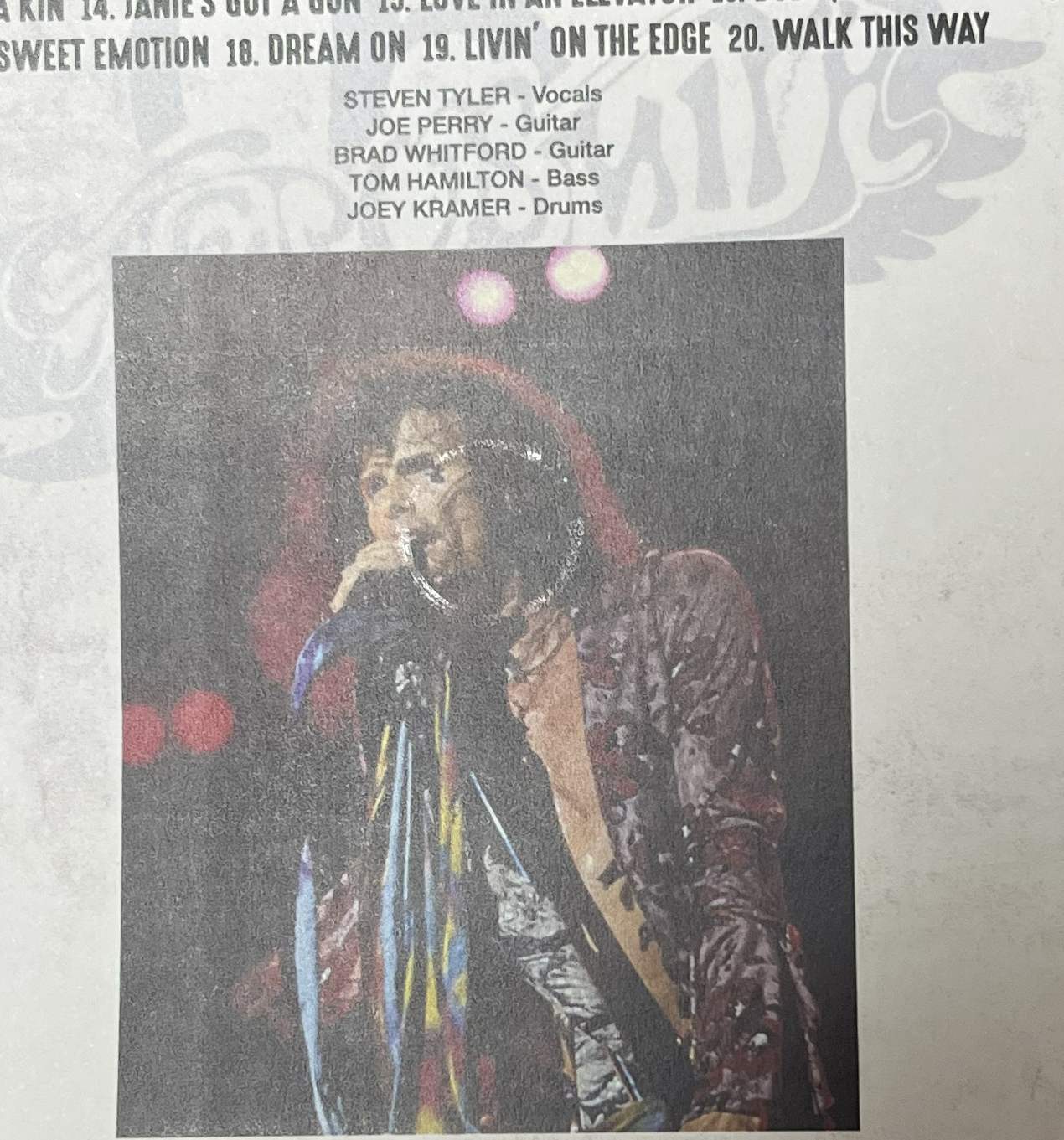 AEROSMITH / RIO DE JANEIRO 1994 (1DVD-R) GIFT TITTLE