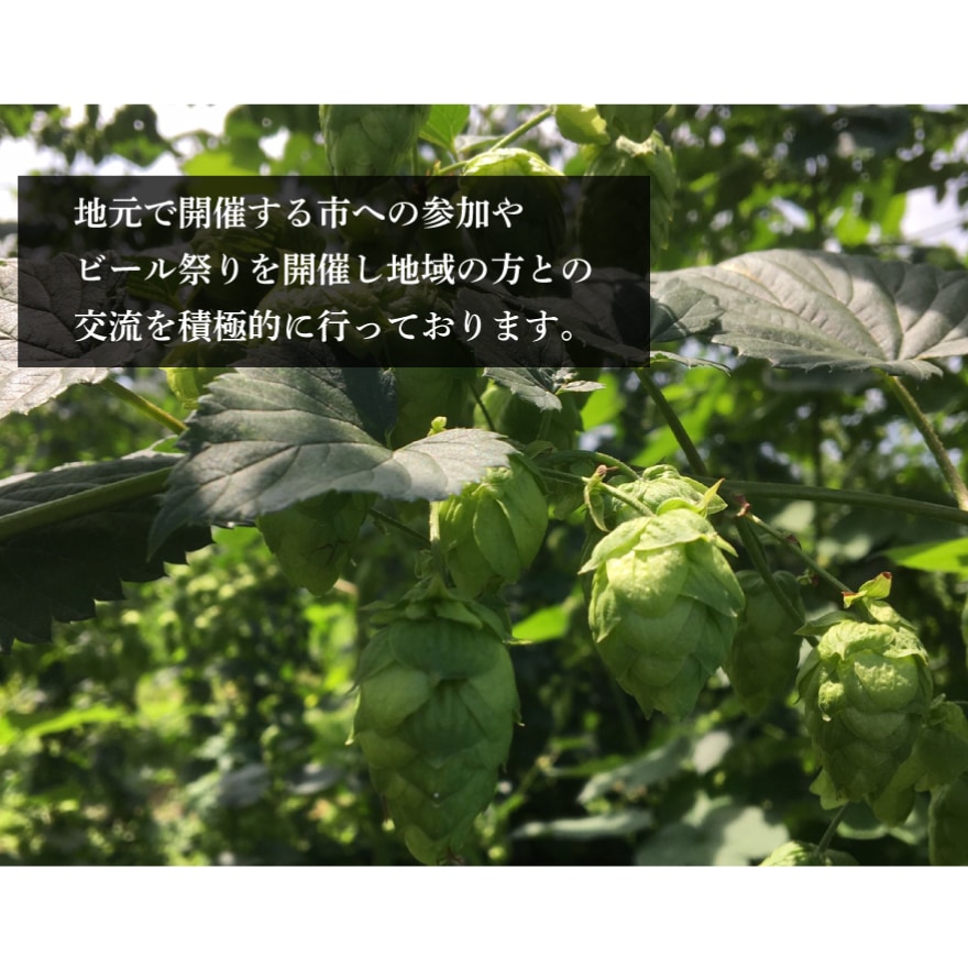 つなぐビール 入り 缶ビール 4種 ギフトBOX 入り 送料無料【熨斗・メッセージ・ギフト対応OK】