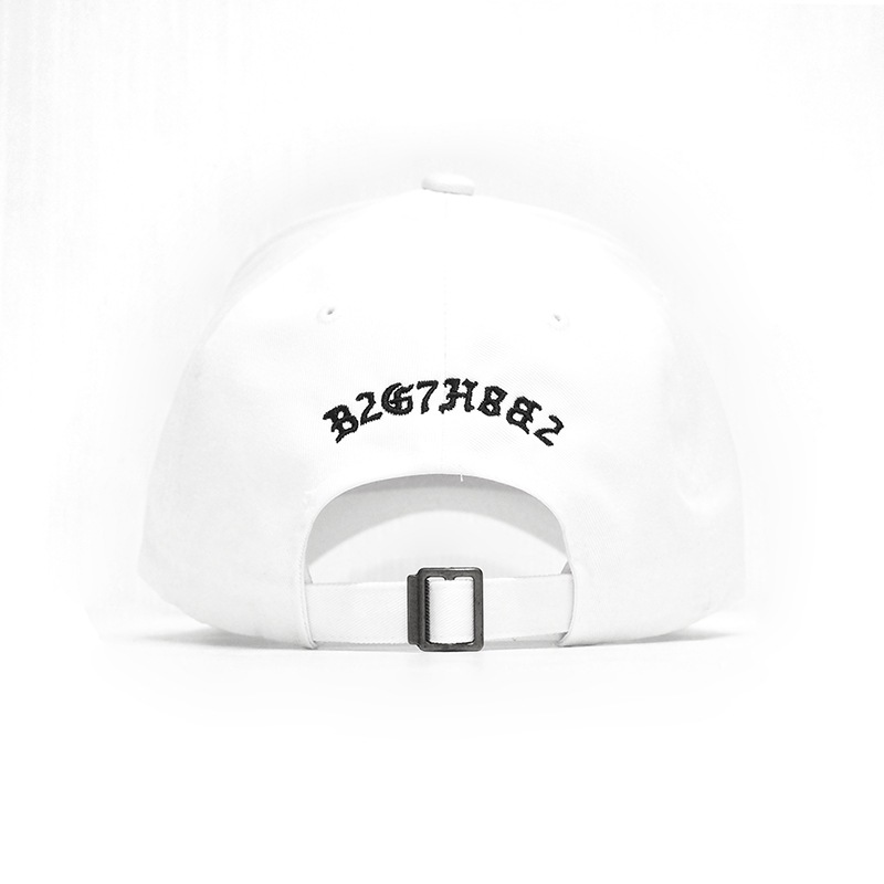 6 PANEL CAP -ARCH LOGO-