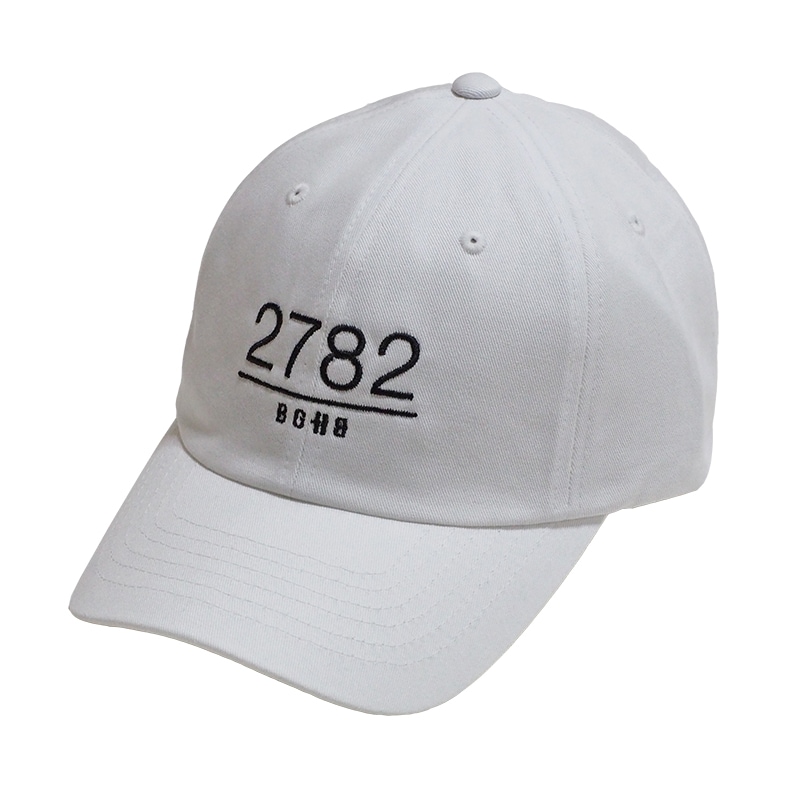 6 PANEL CAP -2782-
