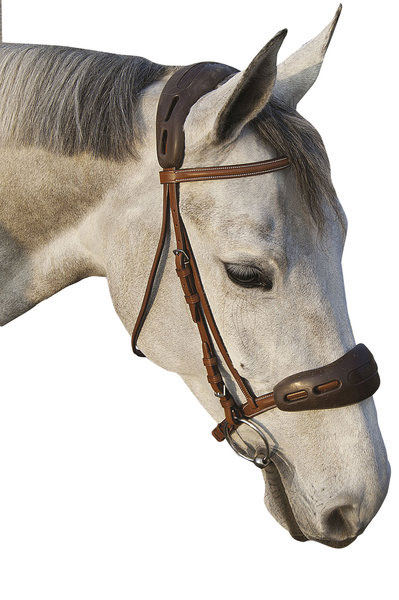 マムシ 皮 革 頭ナシ (観賞用) 楽天市場】マムシ 皮 財布の通販