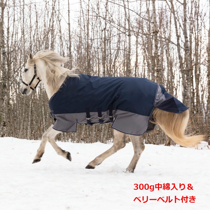 Equi-Theme��������å���600D�٥꡼�٥�ȥ����󥢥��ȥ饰-300g