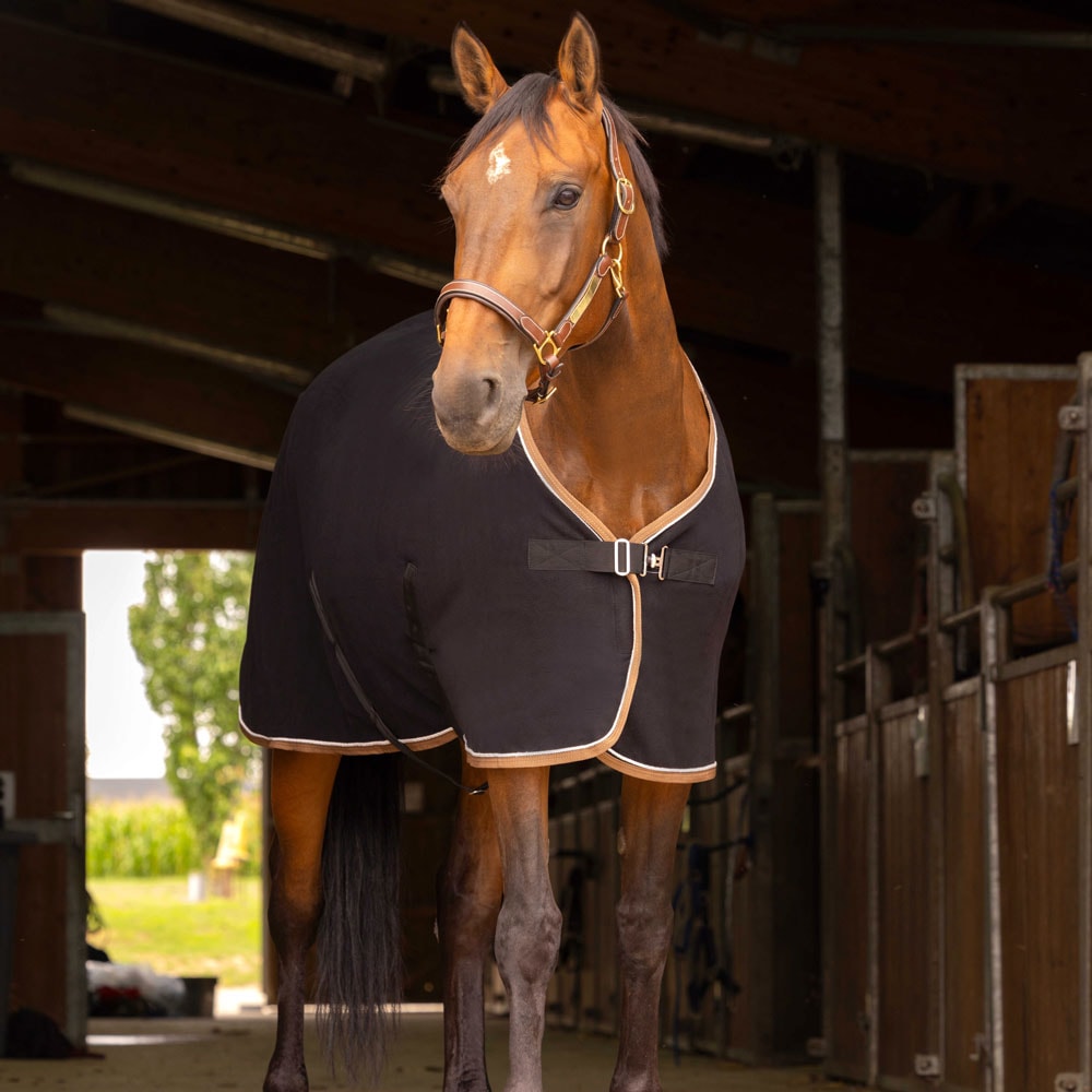 Equi-Theme ポリファンフリースラグ | 馬着・エクササイズシート,薄馬