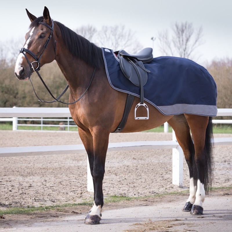 Equi-Theme��������å���600D������������������