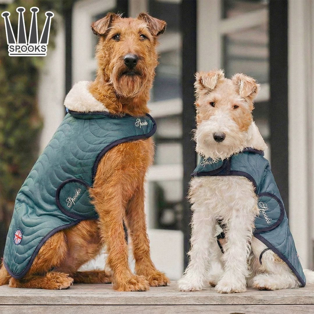 Spooksドッグコート クラッシック ダブブルー S~XL（小型犬~大型犬