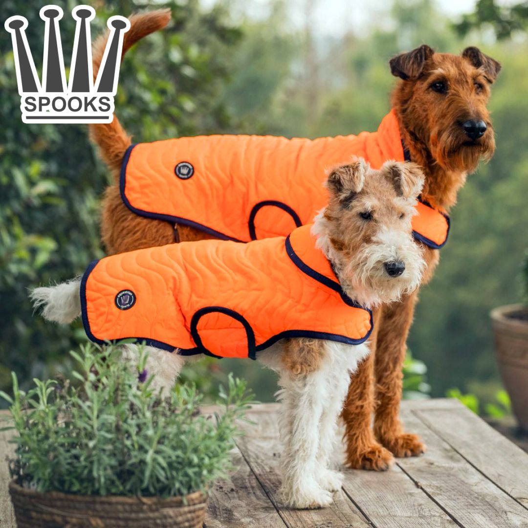 S*a様 ALPHAICON 犬用ウェア XLサイズ オレンジ・ブラウン Spooksドッグコート クラッシック オレンジ S~XL（小型犬~大型犬