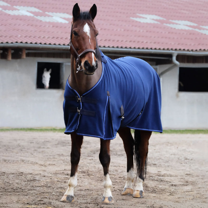 Equi-Theme�����饷�å������󥢥��ȥ饰�ѥե꡼��������