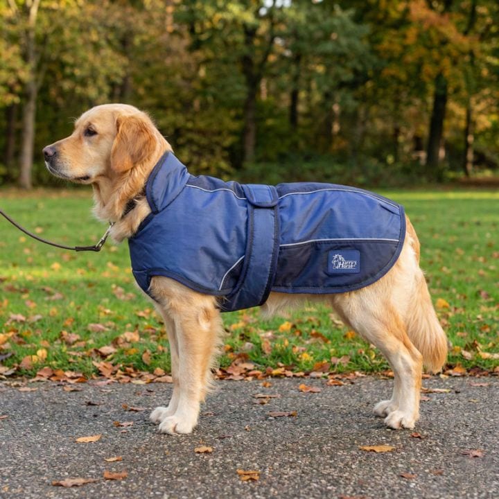 ハリーズホース ドッグコート-ツートンW123 45cm~65cm（中型犬~大型犬
