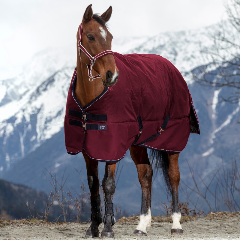 Equi-Themeå1200D󥢥ȥ饰-450g