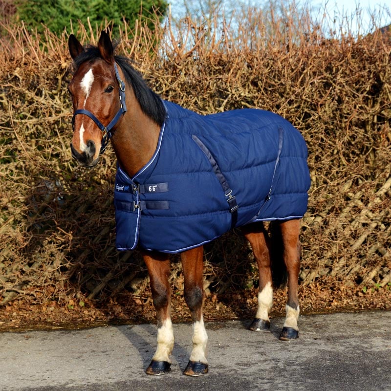 Equi-Theme󥿡ơ֥饰400g