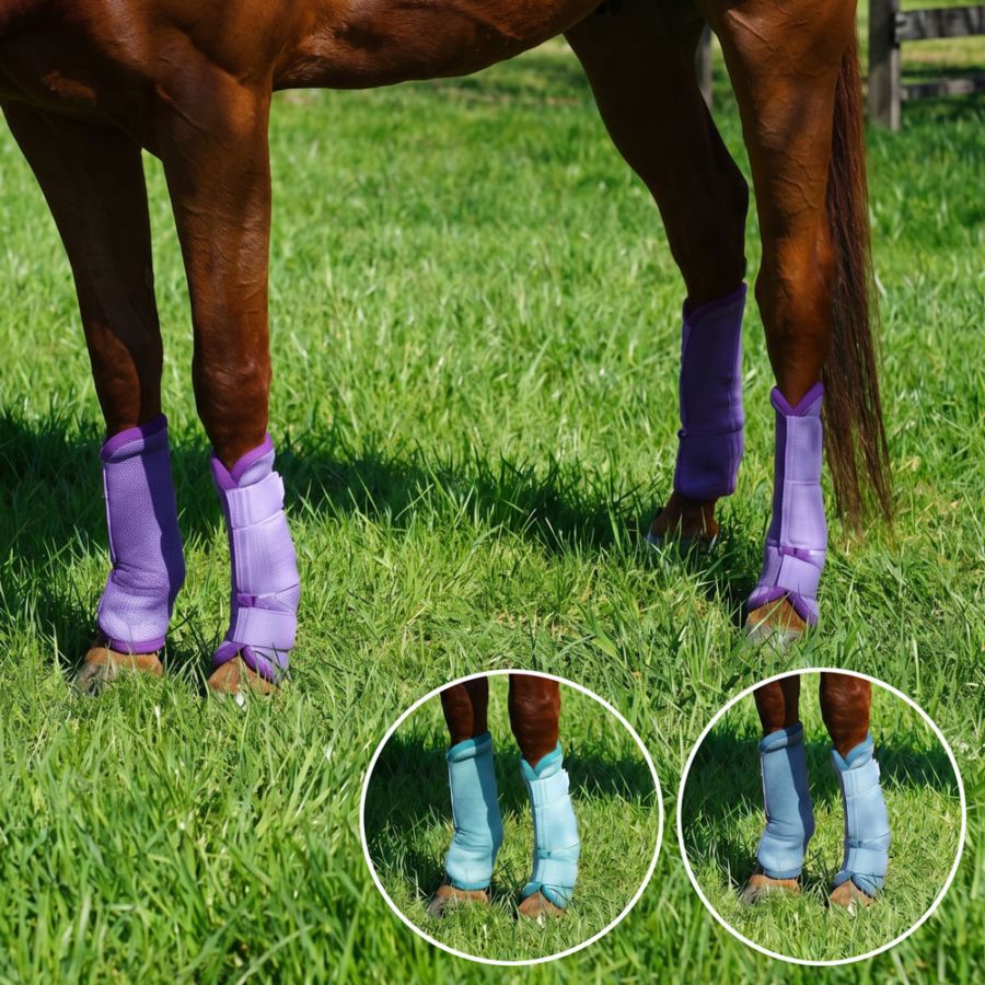 【未使用】Accademia Italiana アカデミアイタリアーナ キュロット パンツ パワーグリップ 44 ネイビー レディース 乗馬ズボン 馬術 楽天市場】アカデミアイタリアーナ キュロットの通販