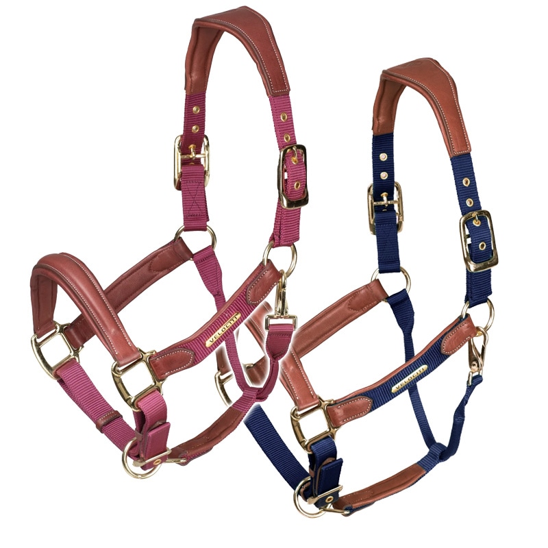 ノイ・シューレ ハミ NS タートルタクティオ 小勒 サイズM (128-138mm) Neue Schule 乗馬 馬術 中古】ノイ・シューレ ハミ NS タートルタクティオ 小勒 サイズM
