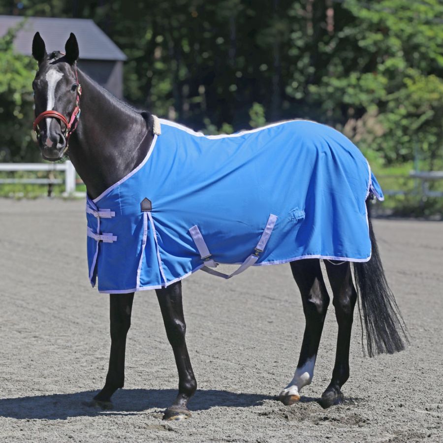 乗馬用品　馬着 Amazon.co.jp: 乗馬 馬着 ゼブラ エクササイズ フライシート