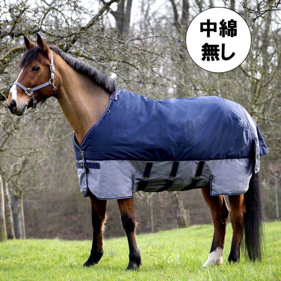 Equi-Theme（エクイテーム） | 乗馬用品 ハフリンガーMAX