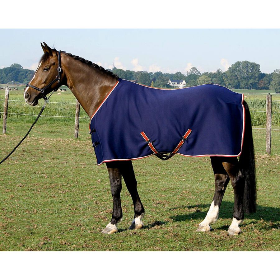 乗馬用ゼッケン ポニーサイズ 乗馬用ゼッケン ポニーサイズ