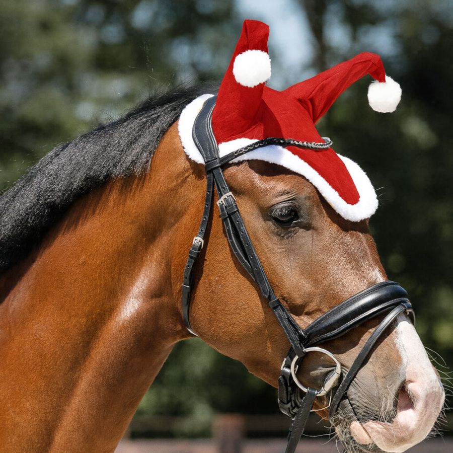 馬のイベントグッズ | 乗馬用品 ハフリンガーMAX