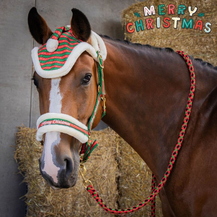 乗馬用品 ハフリンガーMAX |乗馬用品・馬具のネットショップ