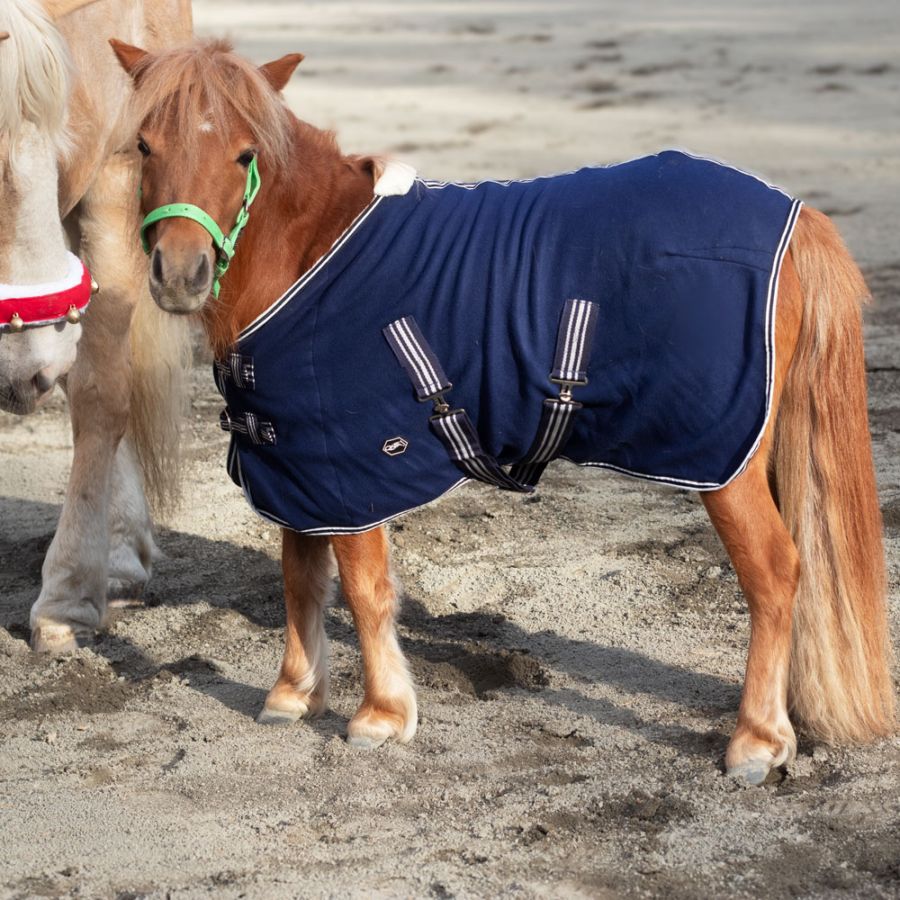 H-MAX ポニー用レインブランケット | 馬着・エクササイズシート,レイン