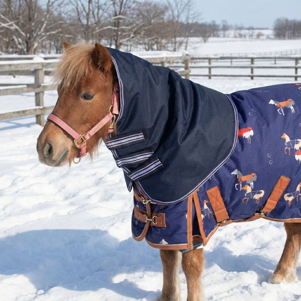 馬着・エクササイズシート,ネックカバー | 乗馬用品 ハフリンガーMAX