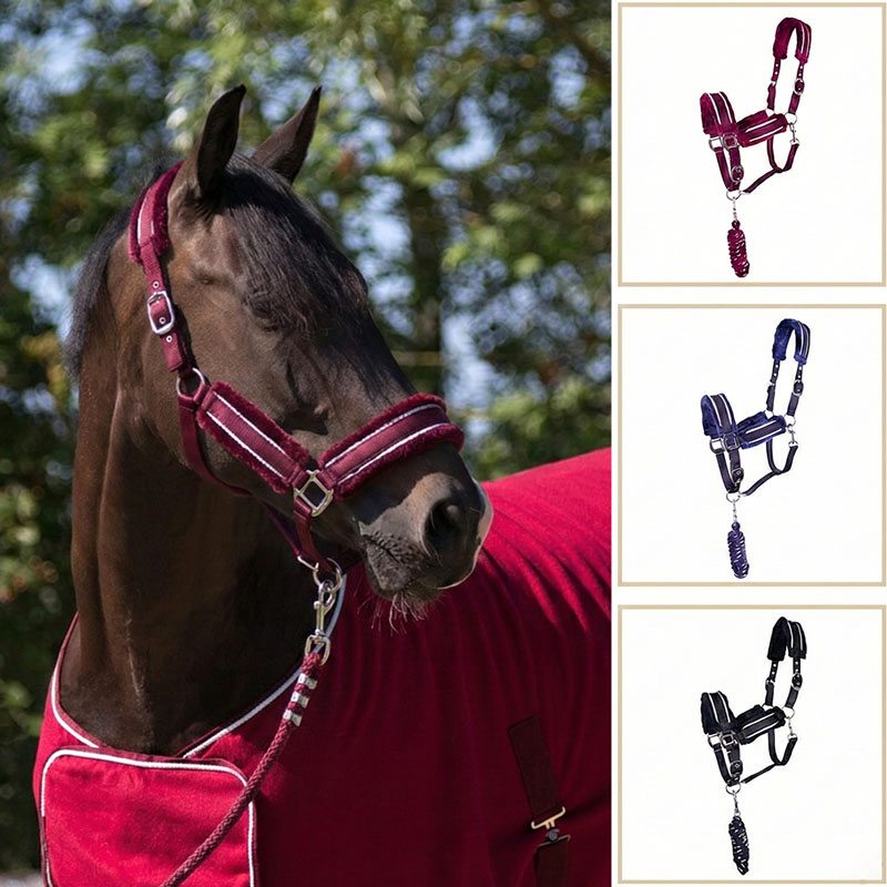 EZI-GROOM 三つ編み用輪ゴム | 手入れ用品,ゴム・リボン | 乗馬用品