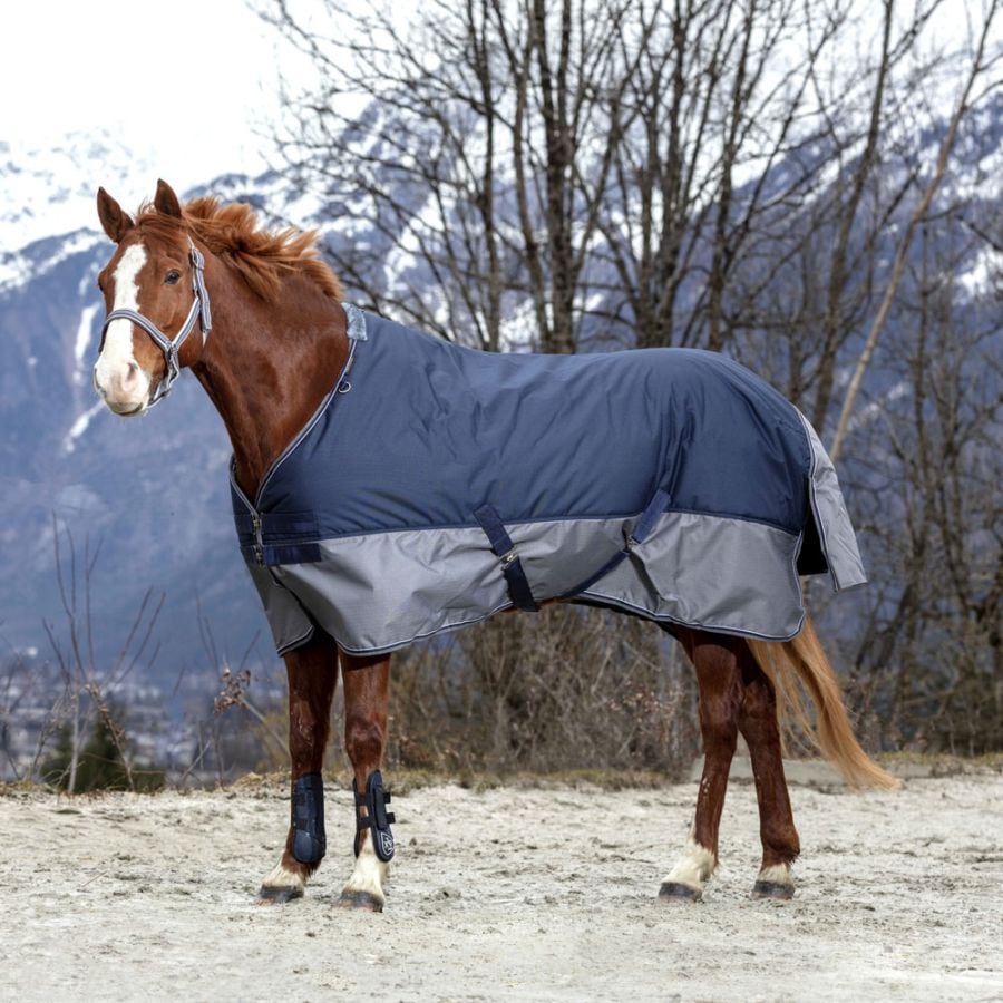 ペネロペ イヤーネット-ポイントセリエ | ゼッケン・パッド・イヤー