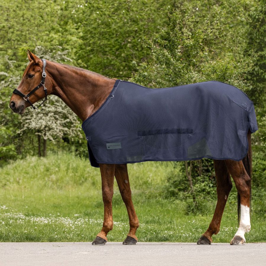 乗馬用品 ハフリンガーMAX |乗馬用品・馬具のネットショップ