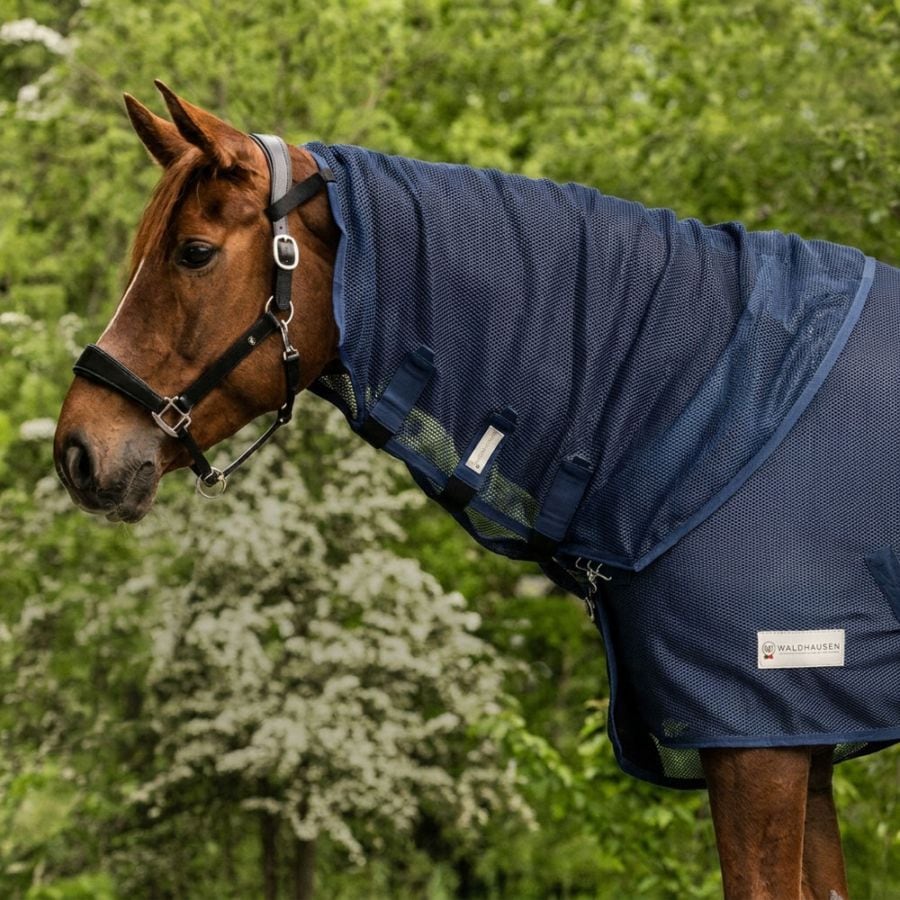 乗馬用品 ハフリンガーMAX |乗馬用品・馬具のネットショップ