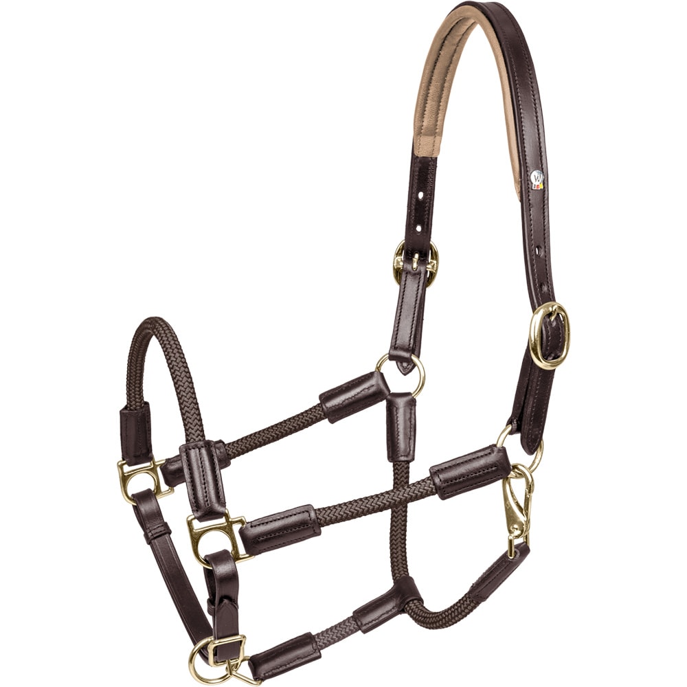 Chamberiain 乗馬用品 乗馬用品 ハフリンガーMAX |乗馬用品・馬具・馬雑貨の専門店