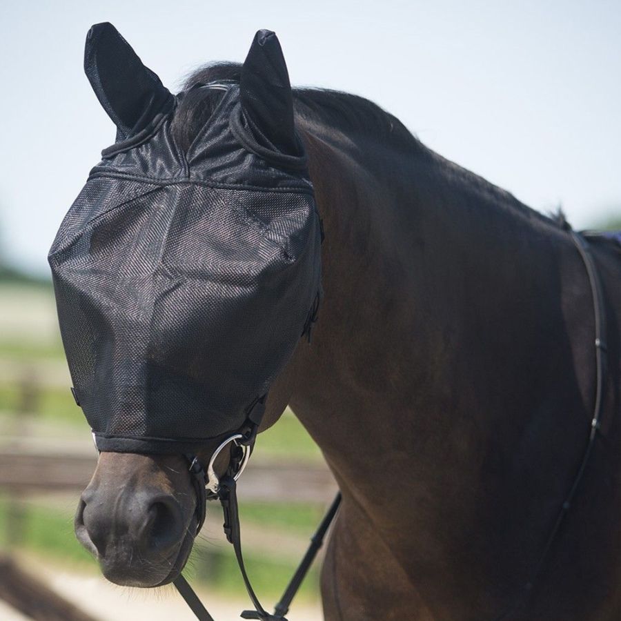 乗馬　乗馬用品　とびっきりアイテム　バンジー 乗馬用品 ハフリンガーMAX |乗馬用品・馬具・馬雑貨の専門店