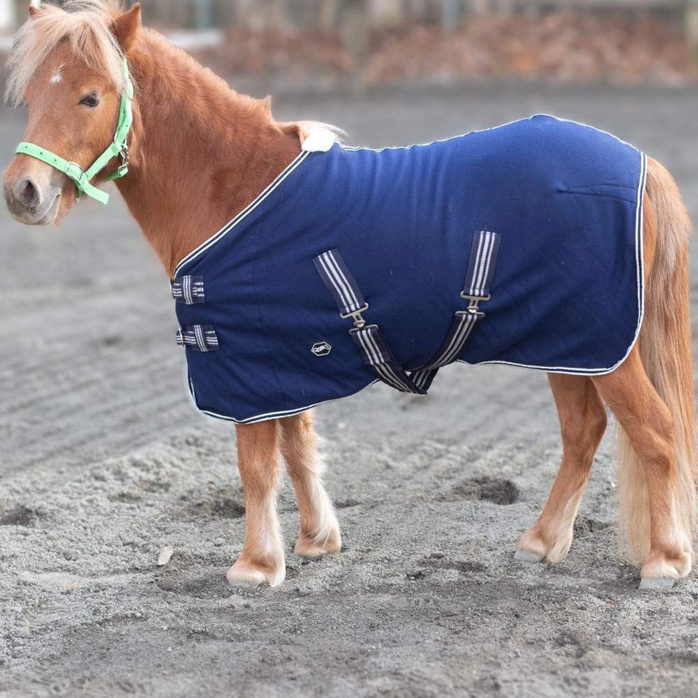 ハイ) Hy StormX 馬用 Original コットン エクササイズシート 乗馬 馬