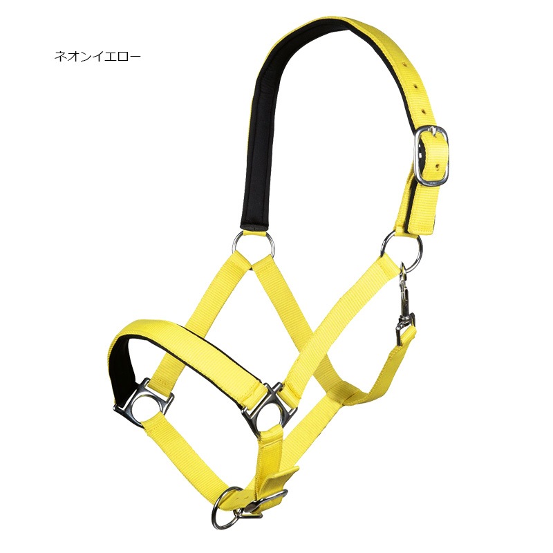 乗馬　HKM PRO-TEAMキュロット EU38 乗馬 HKM PRO-TEAMキュロット EU38 - メルカリ