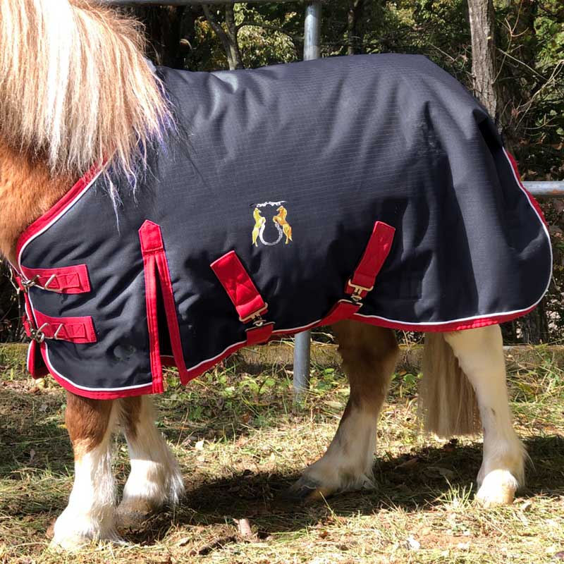 馬のポニー pony_grelly04-600x600.jpg