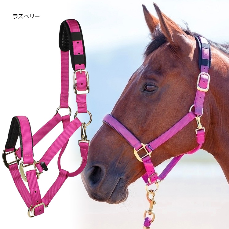 新品　Shires シャイアー　マルタン　ラバーストッパー付き　乗馬  　馬術 新品 Shires シャイアー マルタン ラバーストッパー付き 乗馬
