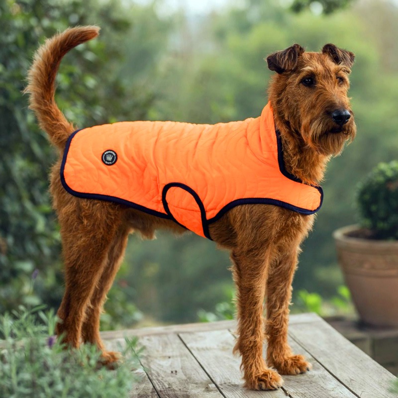 Spooksドッグコート クラッシック-オレンジ | 馬着・エクササイズ