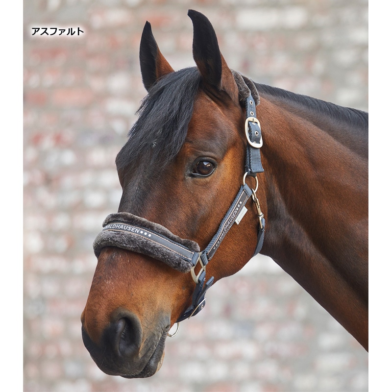 WH エレガント無口 | 無口・引手 | 乗馬用品 ハフリンガーMAX