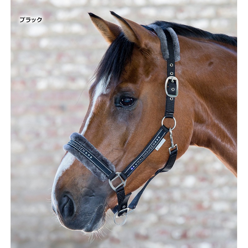 乗馬用品パーカー TH メタリックロゴ レディス パーカー | For Rider 人装品