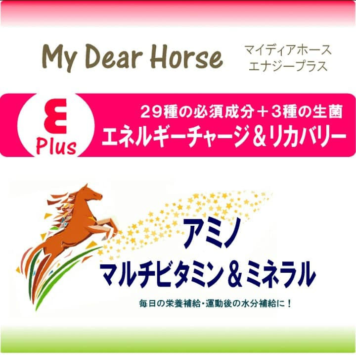 ホースケアサプリ　アミノアシスト　馬の健康管理専用　アミノ酸含有食品　10袋 ホースケアサプリ アミノアシスト 馬の健康管理専用 アミノ酸