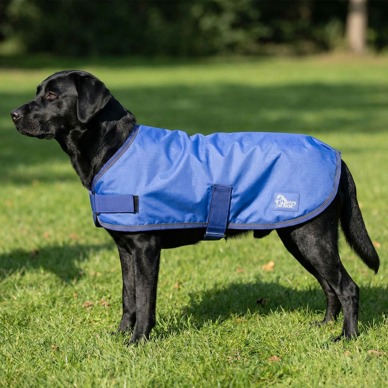 ハリーズホース ドッグコート-W120 55cm~70cm（中型犬~大型犬） | 馬着