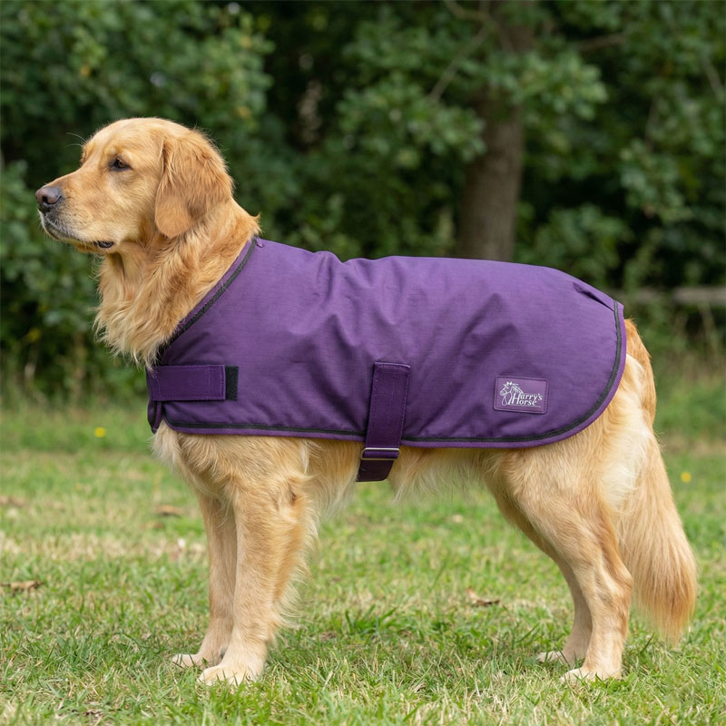 ハリーズホース ドッグコート-W120 55cm~70cm（中型犬~大型犬） | 馬着